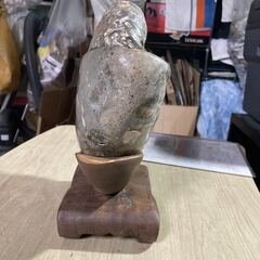 詳細不明 アンモナイト 化石 幅約21cm 置物 自然 コレクション インテリアの画像