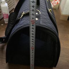 Boo Voyage ペット キャリー 小動物 猫 犬 フェレット うさぎ イタチ ハリネズミ カゴ ゲージ ペットバッグ ペットキャリーの画像