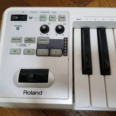 Roland ローランド A-49 MIDIキーボード コントローラー 49鍵盤 通電確認のみの画像