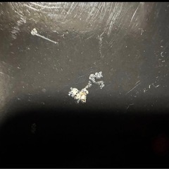 ホットクック 内釜 2.4L フッ素コーティング TJ-KN2FBAの画像