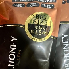 DR .HONEYブラックビーモイストリペア　ヘアトリートメント2点セットの画像