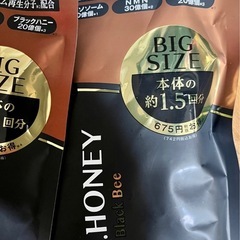 DR .HONEYブラックビーモイストリペア　ヘアトリートメント2点セットの画像