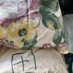 羽毛 掛け布団 ダウン10 フェザー 90 汚れ、記名有り 薄手 夏掛け？の画像