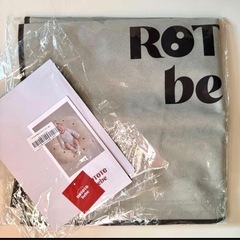 ロトトクッション 超美品　ROTOTObebeの画像