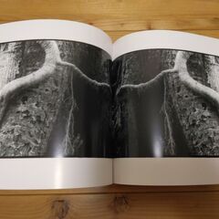 『写真集・横倉山の森』高知県越知町立横倉山自然の森博物館②の画像