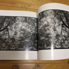 『写真集・横倉山の森』高知県越知町立横倉山自然の森博物館②の画像