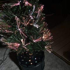 ファイバーツリーの画像