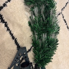 クリスマスツリーの画像