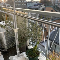 ニトリ　物干し台の画像