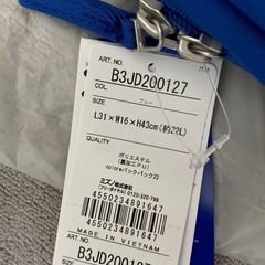 ミズノ] コロレ バックパック 22 リュックサック B3JDC001の画像