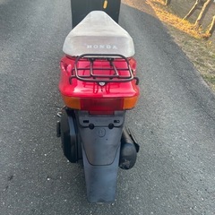 希少レア　初期Dio の画像