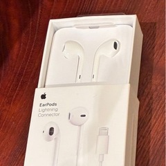 Apple 純正 イヤホン アップル イヤフォン ライトニング 正規品の画像