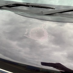 N BOX ターボ　交換の画像