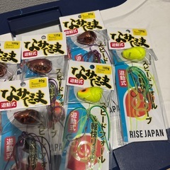 タイラバ10コセット
、なみだま80〜125gの画像