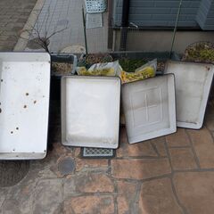 園芸に使用　ホーローバット特大数種類まとめての画像