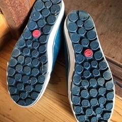 何か購入の方へプレゼント　スケッチャーズ　スニーカーの画像