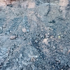 黒毛和牛の堆肥 大量販売　　
の画像