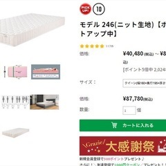Magniflex マ二フレックス マットレス モデル 246(ニット生地) クィーンサイズ 定価87,780円の画像