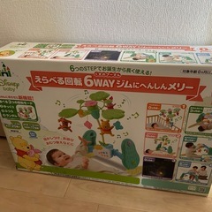 プーメリー 【ジャンク品】の画像