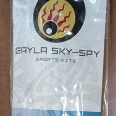スポーツカイトを差し上げます。※見た目は未使用の画像