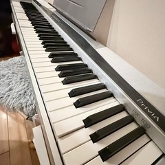 【ジャンク品】CASIO PX－100の画像