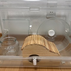 ハムスター飼育セット　フルセット　冬用ヒーター　砂　遊び迷路の画像