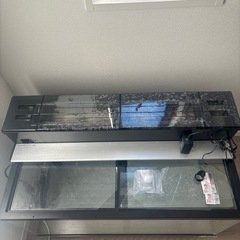 ガラス水槽の画像
