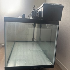 ガラス水槽の画像