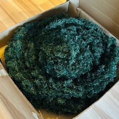 クリスマスツリー　　の画像