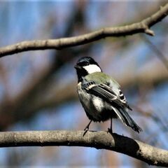 大活躍のカメラ。職場のイベント、家族のスナップ、遊び、旅行なん。でも使えるカメラです。の画像