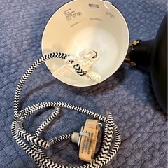 IKEA RANARP ラーナルプの画像