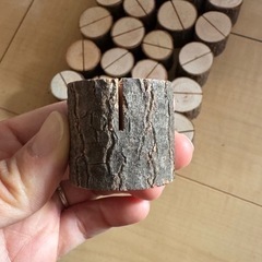 テーブル装飾用切株の画像