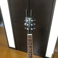 ARIAアコースティックギターの画像