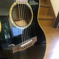 ARIAアコースティックギターの画像