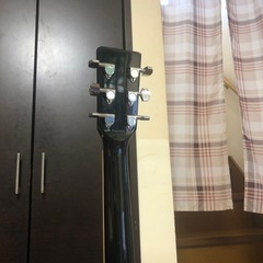 ARIAアコースティックギターの画像