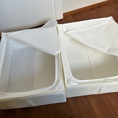 イケタ　スクッブ　2個セットの画像