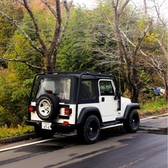 JEEP WRANGLER SPORT の画像