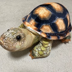  ファーリアルぬいぐるみ犬   ポケモンぬいぐるみバッグ ぬいぐるみの画像