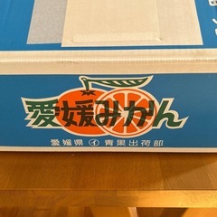 愛媛みかん一箱の画像