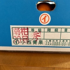 愛媛みかん一箱の画像