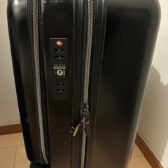 sky navigater スーツケースの画像