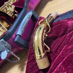 【決まりました】
アルトサックスの画像