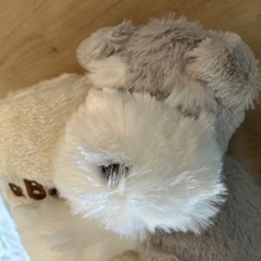 シュナ　ぬいぐるみブランケットの画像