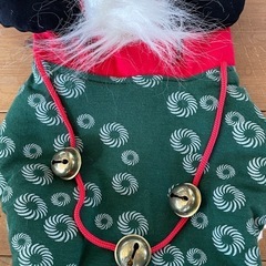 小型犬　獅子舞　お正月用衣装 　　　　の画像