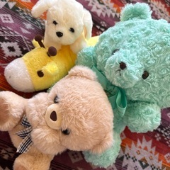 【お迎え募集中】寒い日のお供に。の画像