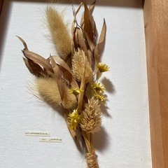 ドライフラワー　額縁　インテリア　3点の画像