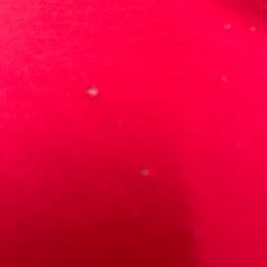 ヨギボー　赤色の画像