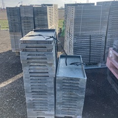 苗箱300枚の画像