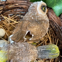 インテリア　木製　置物　オブジェ　鳥　バードの画像