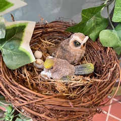 インテリア　木製　置物　オブジェ　鳥　バードの画像